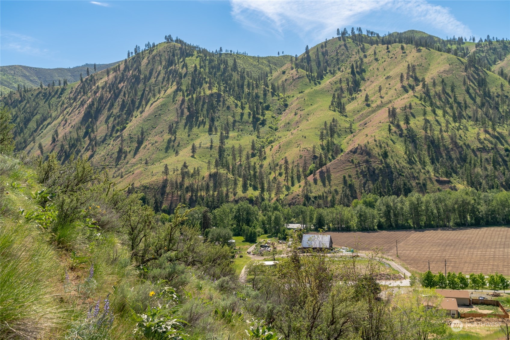 6104 Entiat River Road Entiat, WA 98822 - Photo 9 of 25 Gallery Image 9
