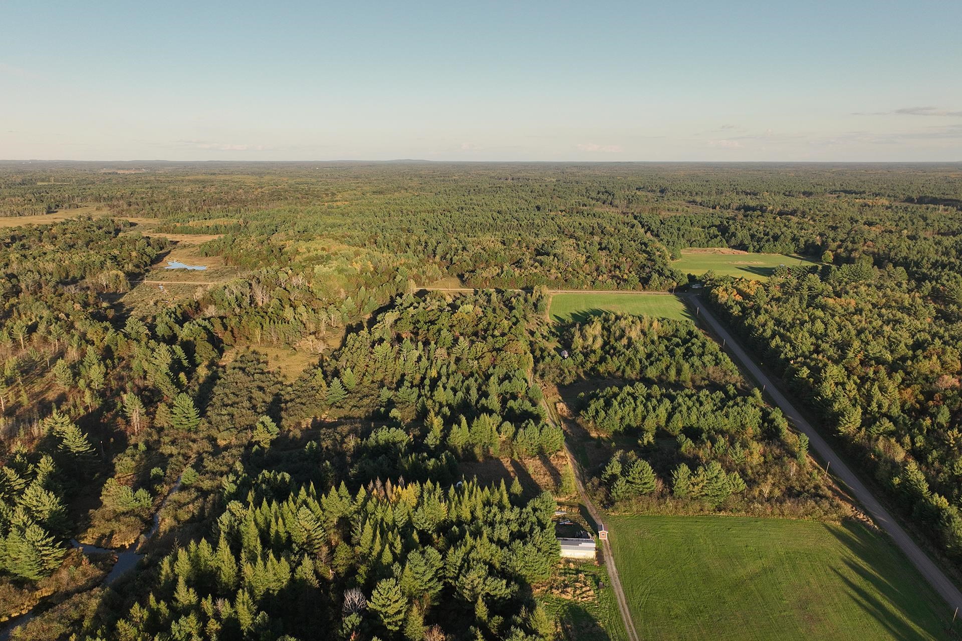 81-acres Anderson Road Neillsville, WI 54456 - Photo 18 of 38