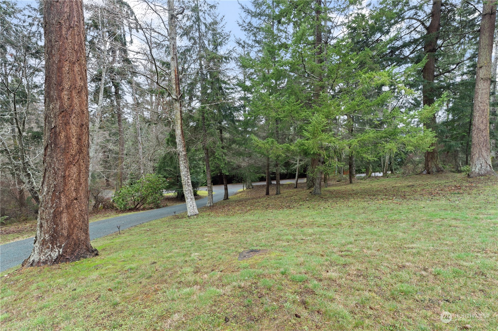 170 Denneboom Road Coupeville, WA 98239 - Photo 33 of 39 a backyard of a house with lots of green space