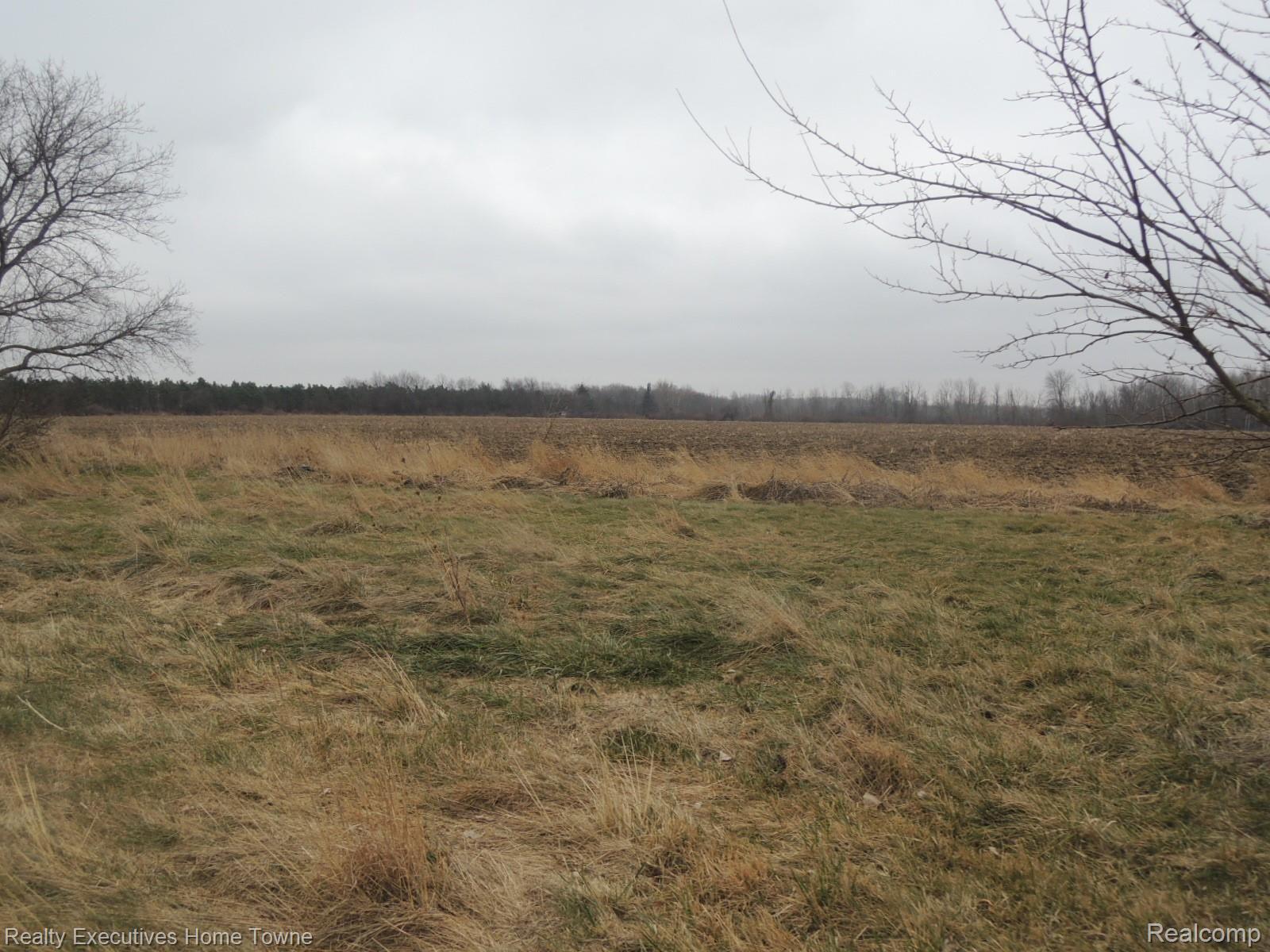 3046 Walker Road Carsonville, MI 48419 - Photo 27 of 31 DSCN6132.JPG