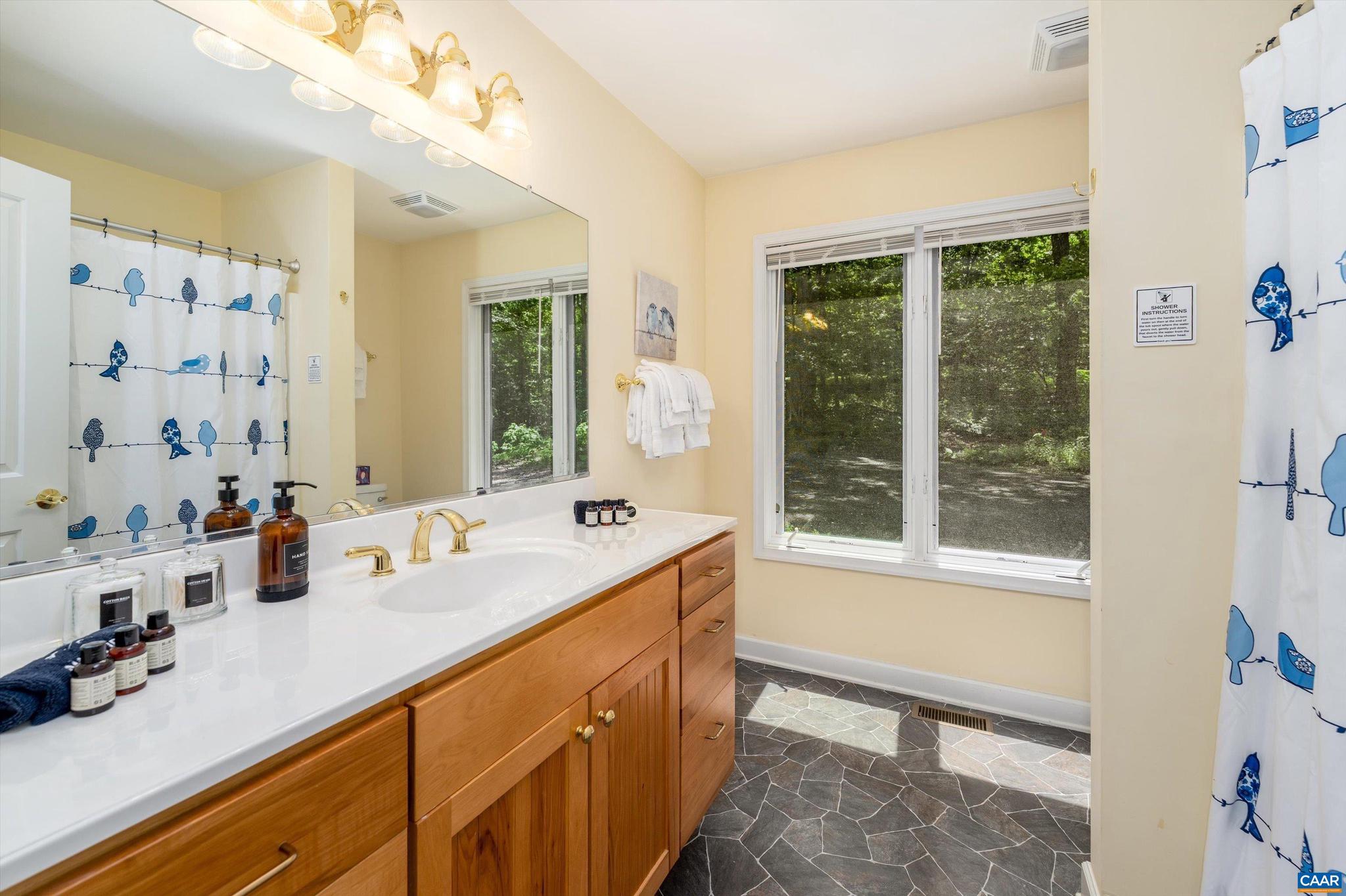 1244 Blue Ridge Drive Roseland, VA 22967 - Photo 41 of 58