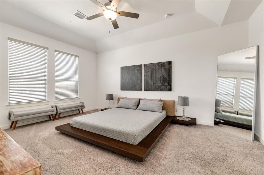 7210 Switchgrass Road Frisco, TX 75033 - Photo 20 of 39