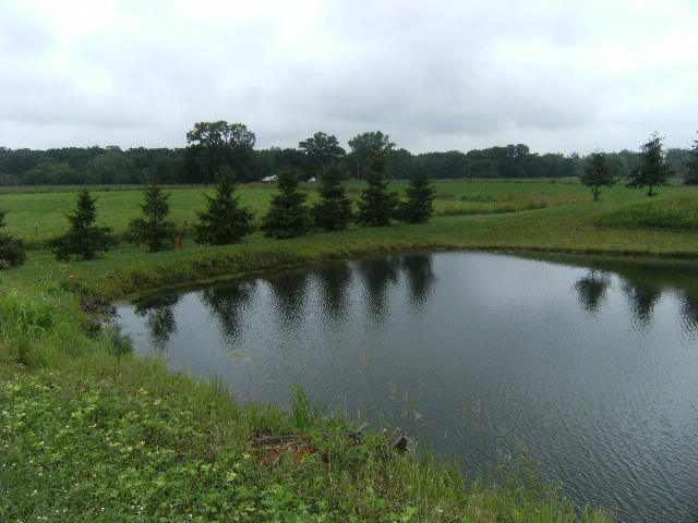 232 Cross Over Road Lacon, IL 61540 - Photo 10 of 14 Gallery Image 10