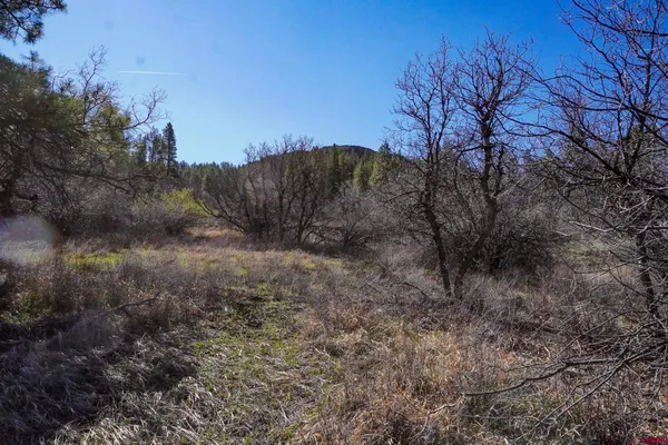$55,000 | 912 Alpine Drive, Bayfield, CO 81122