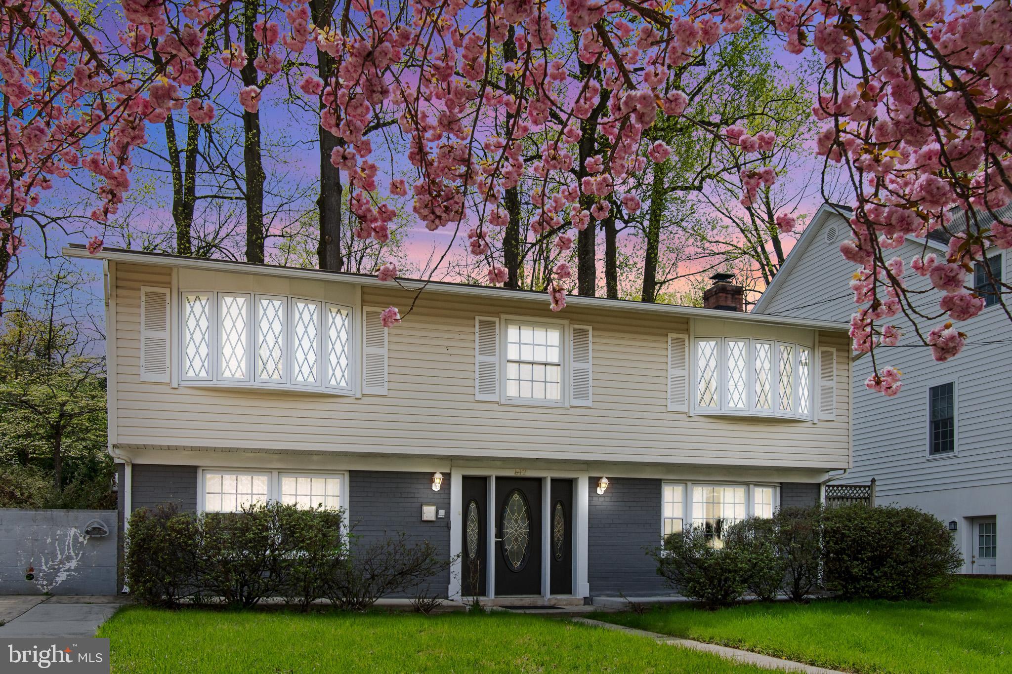 512 Carr Avenue Rockville, MD 20850 - Photo 1 of 56 a view of a house with a yard and a large tree