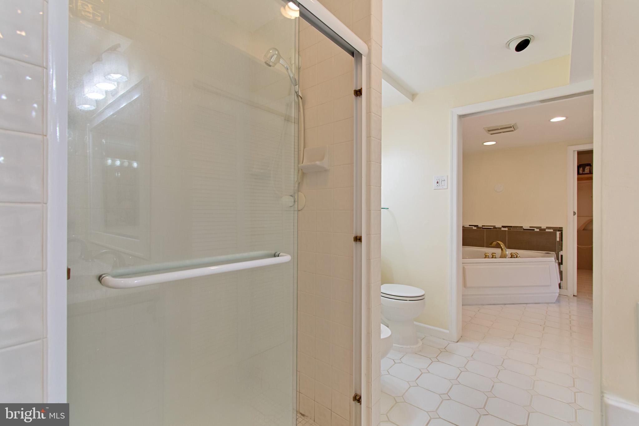 512 Carr Avenue Rockville, MD 20850 - Photo 46 of 56 a bathroom with a granite countertop shower a toilet and a sink