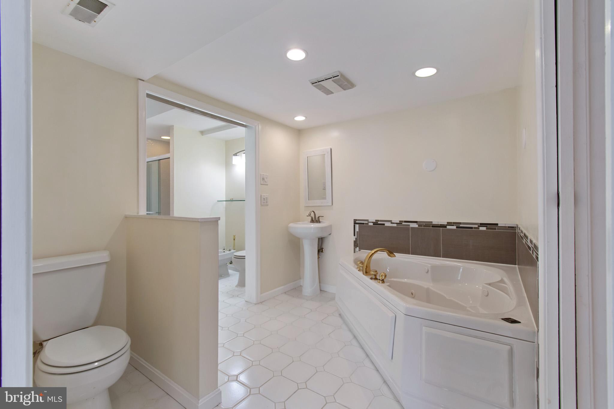 512 Carr Avenue Rockville, MD 20850 - Photo 51 of 56 a bathroom with a tub a toilet and a sink