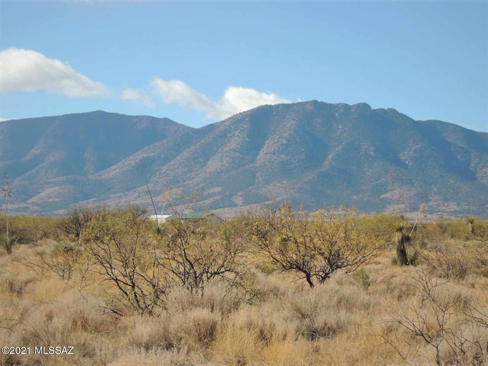 14.18 Acres Central Road, Unit 1A Pearce, AZ 85625 - Photo 6 of 9