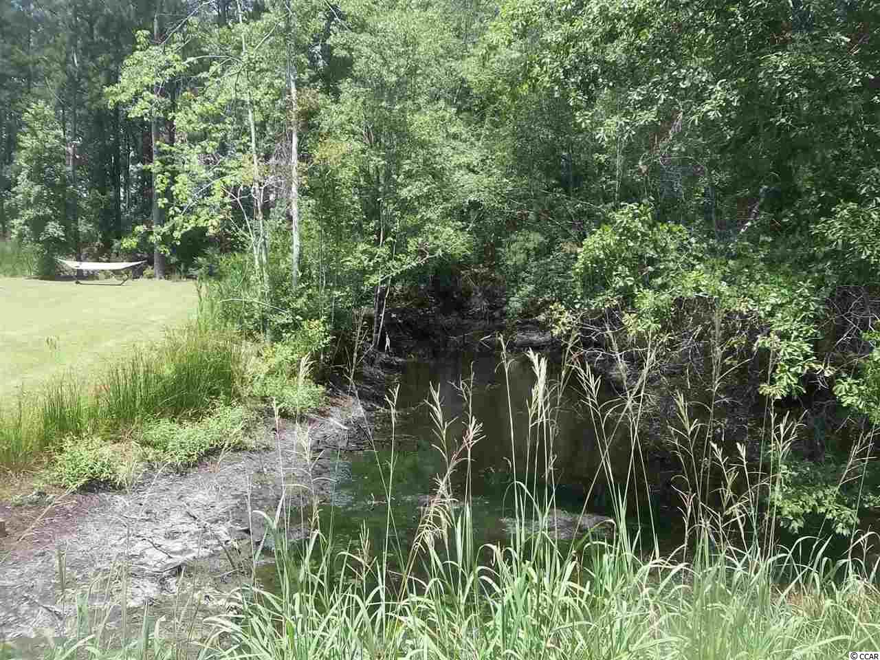 48 Futrell Street Loris, SC 29569 - Photo 1 of 1