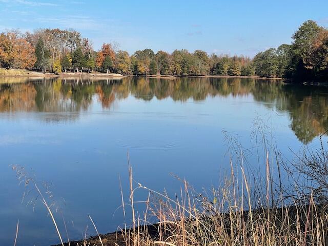 0 New Bethel Road Dayton, TN 37321 - Photo 16 of 42 IMG_7413