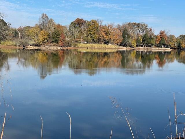 0 New Bethel Road Dayton, TN 37321 - Photo 17 of 42 IMG_7414