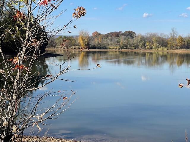 0 New Bethel Road Dayton, TN 37321 - Photo 20 of 42 IMG_7417