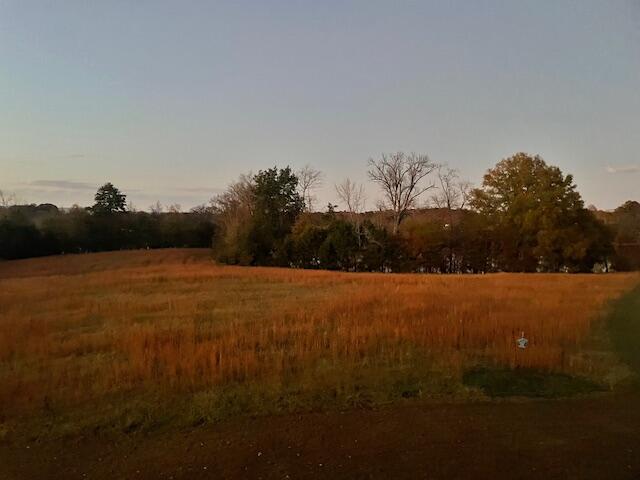 0 New Bethel Road Dayton, TN 37321 - Photo 23 of 42 IMG_7421