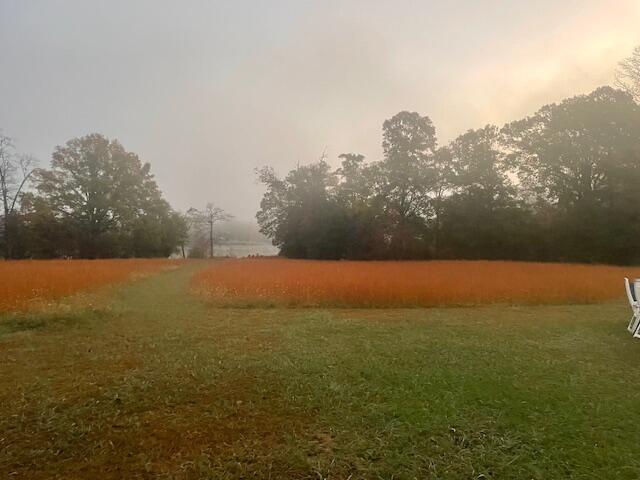 0 New Bethel Road Dayton, TN 37321 - Photo 25 of 42 IMG_7428