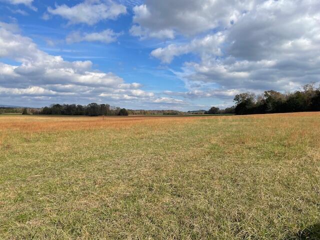 0 New Bethel Road Dayton, TN 37321 - Photo 30 of 42 IMG_7451