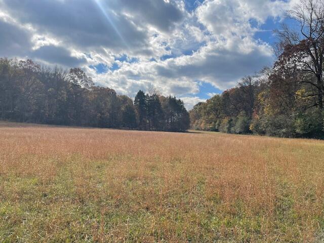 0 New Bethel Road Dayton, TN 37321 - Photo 31 of 42 IMG_7450