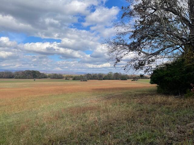 0 New Bethel Road Dayton, TN 37321 - Photo 32 of 42 IMG_7449