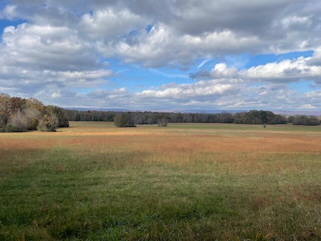 0 New Bethel Road Dayton, TN 37321 - Photo 33 of 42 IMG_7448