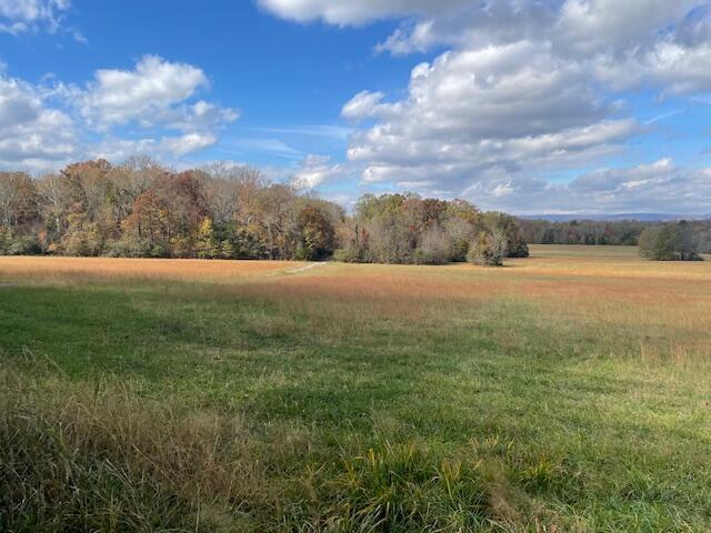 0 New Bethel Road Dayton, TN 37321 - Photo 34 of 42 IMG_7447