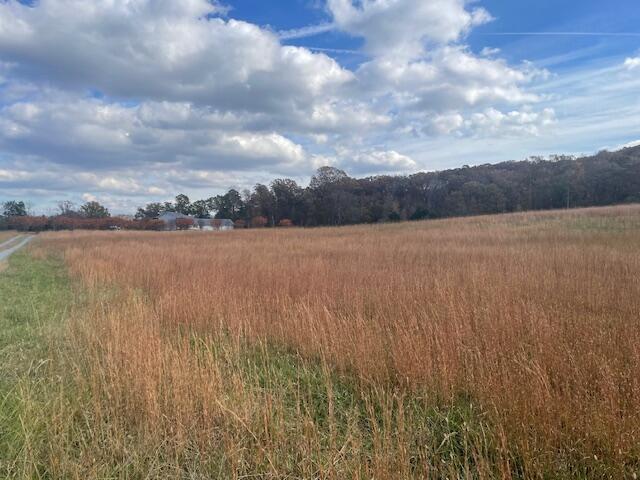 0 New Bethel Road Dayton, TN 37321 - Photo 35 of 42 IMG_7446