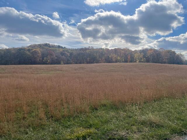 0 New Bethel Road Dayton, TN 37321 - Photo 36 of 42 IMG_7445