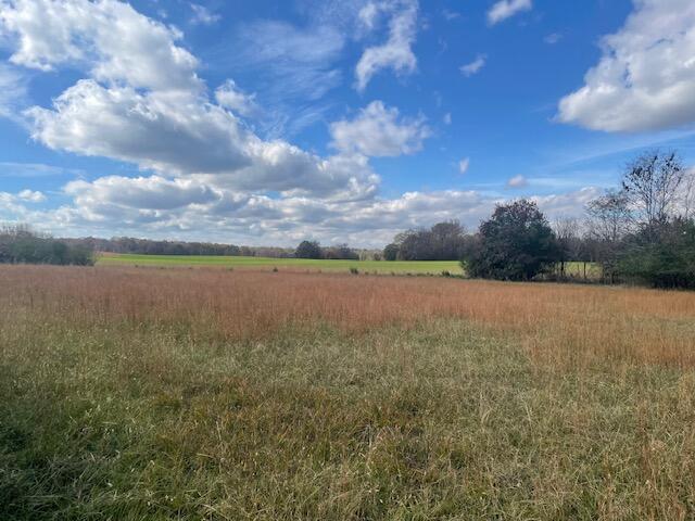 0 New Bethel Road Dayton, TN 37321 - Photo 37 of 42 IMG_7444