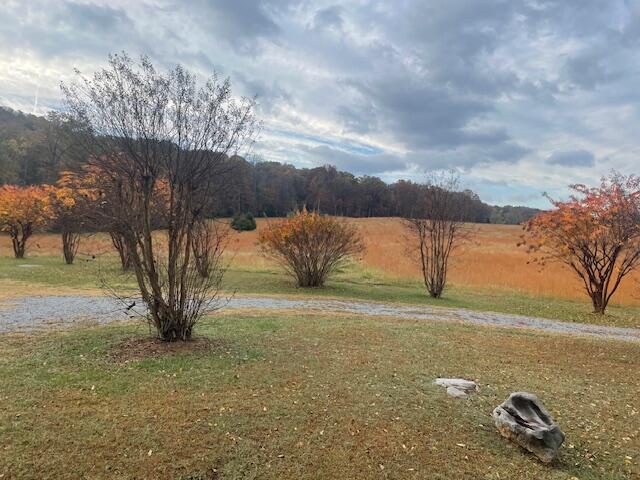 0 New Bethel Road Dayton, TN 37321 - Photo 38 of 42 IMG_7443