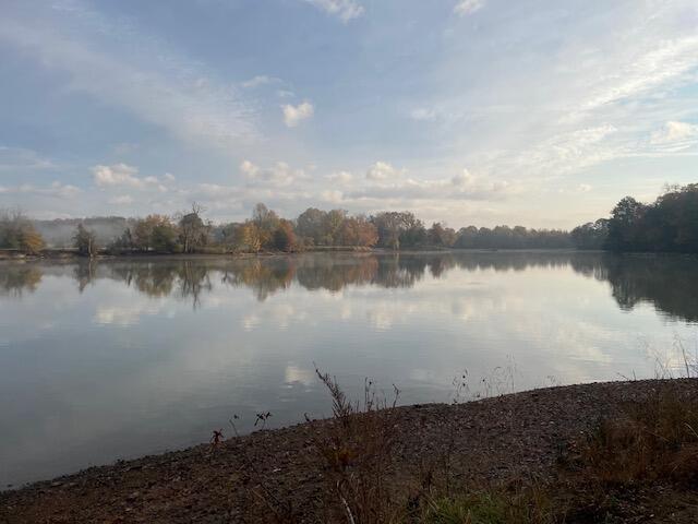 0 New Bethel Road Dayton, TN 37321 - Photo 40 of 42 IMG_7434