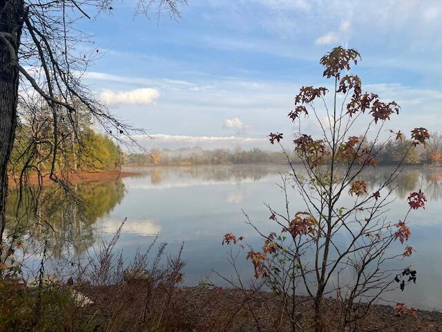 0 New Bethel Road Dayton, TN 37321 - Photo 41 of 42 IMG_7432