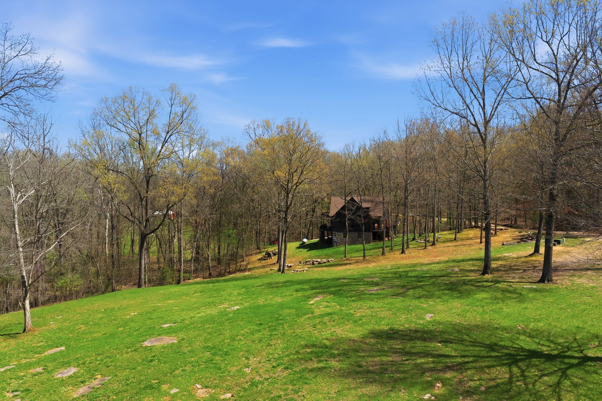 1118 Carrollville Landing Road Clifton, TN 38425 - Photo 60 of 92 a view of a park with swings and slides