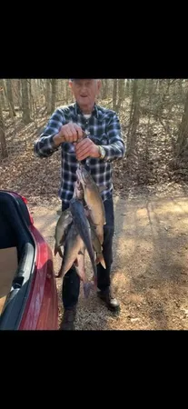 $1,350,000 | 1118 Carrollville Landing Road, Clifton, TN 38425