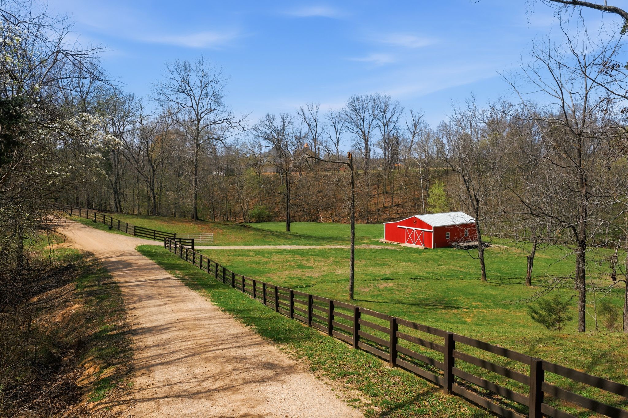 1118 Carrollville Landing Road Clifton, TN 38425 - Photo 78 of 92 a view of a park with large trees