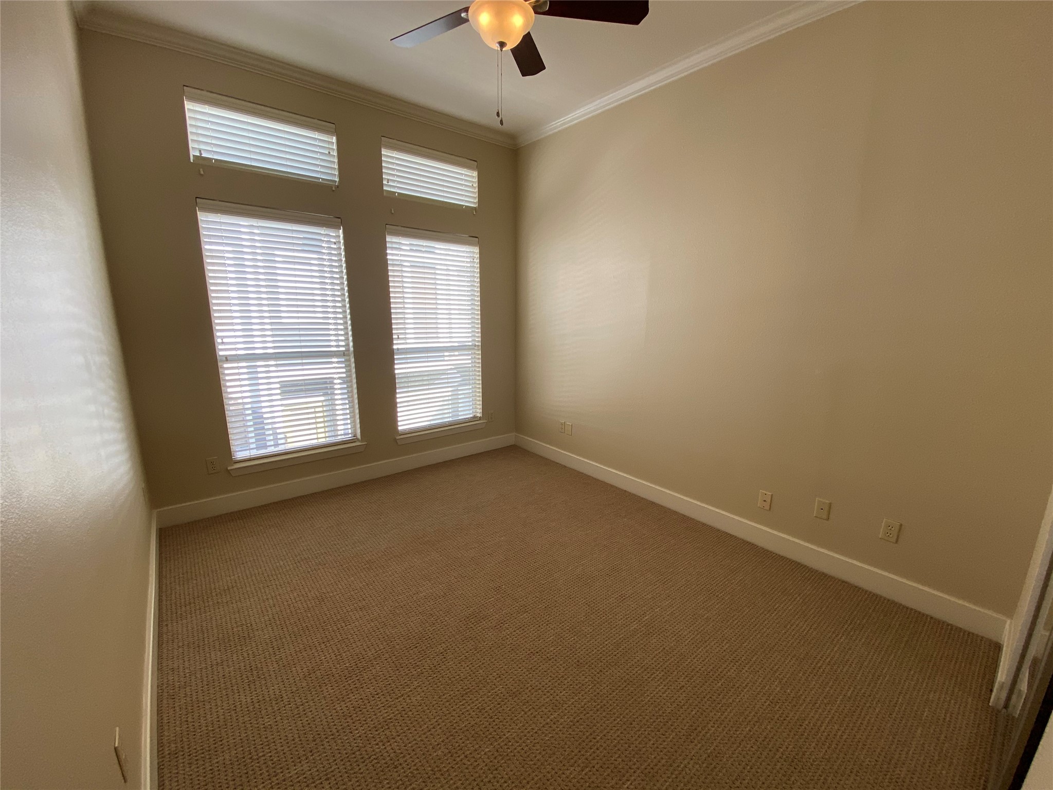 735 Arlington Street, Unit 3 Houston, TX 77007 - Photo 18 of 32 Guest bedroom with high ceiling, ceiling fan and crown-molding.
