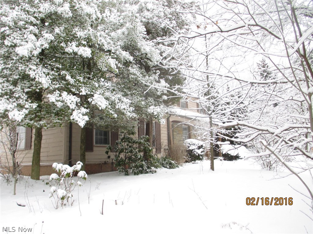 16401 South Woodland Road Cleveland, OH 44120 - Photo 2 of 9