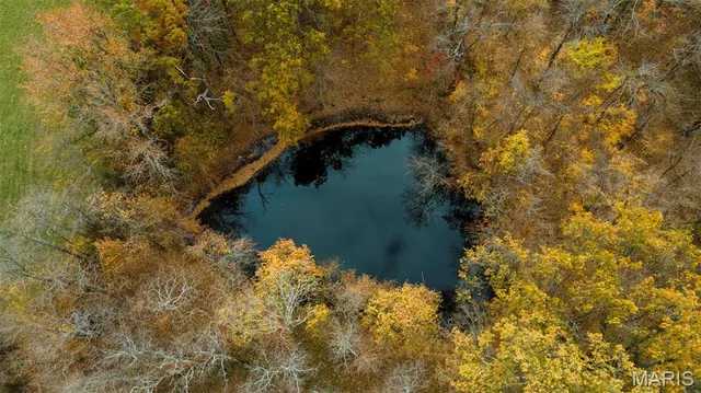 $704,900 | 0 County Road 259, Chaffee, MO 63740