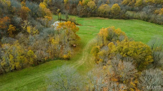 $704,900 | 0 County Road 259, Chaffee, MO 63740