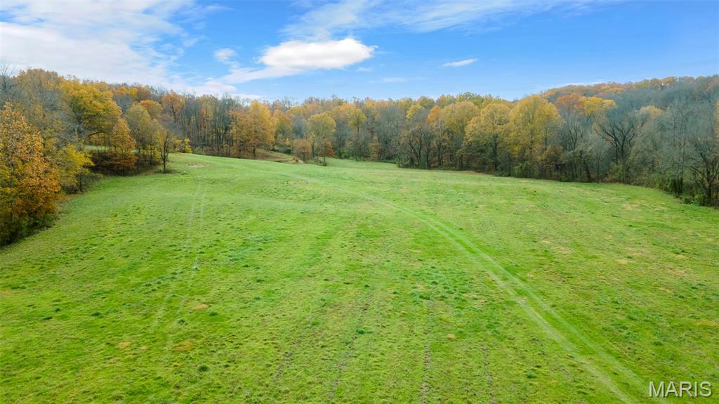 0 County Road 259 Chaffee, MO 63740 - Photo 14 of 46