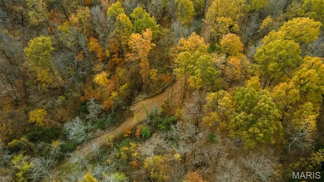 $704,900 | 0 County Road 259, Chaffee, MO 63740