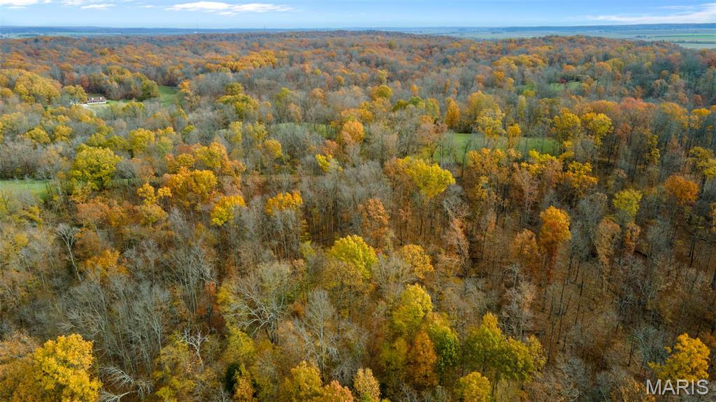 0 County Road 259 Chaffee, MO 63740 - Photo 16 of 46