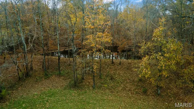 $704,900 | 0 County Road 259, Chaffee, MO 63740