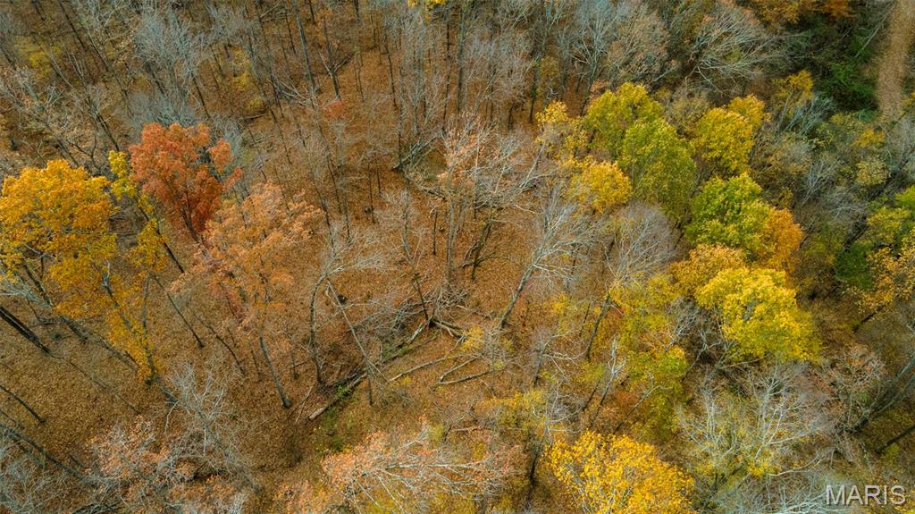 0 County Road 259 Chaffee, MO 63740 - Photo 18 of 46