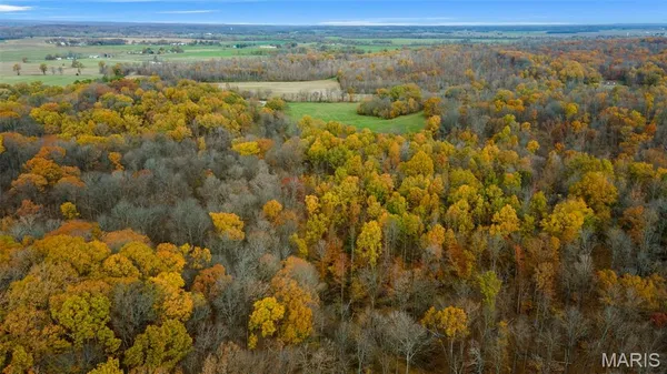$704,900 | 0 County Road 259, Chaffee, MO 63740