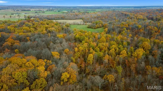 $704,900 | 0 County Road 259, Chaffee, MO 63740