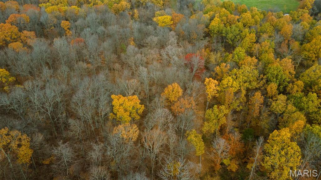 0 County Road 259 Chaffee, MO 63740 - Photo 23 of 46