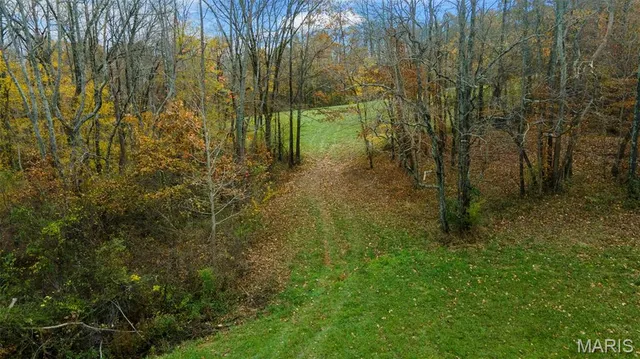 $704,900 | 0 County Road 259, Chaffee, MO 63740