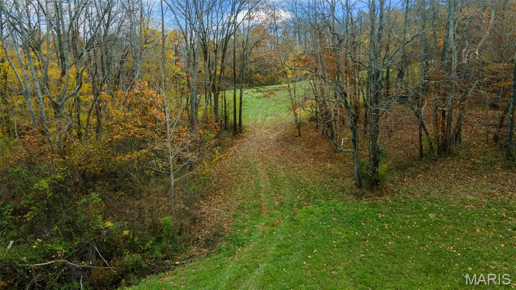 0 County Road 259 Chaffee, MO 63740 - Photo 25 of 46