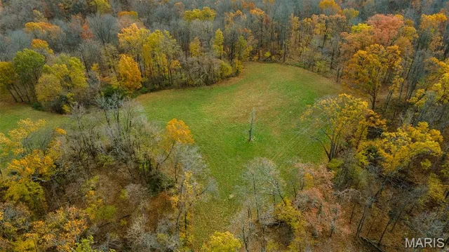 $704,900 | 0 County Road 259, Chaffee, MO 63740