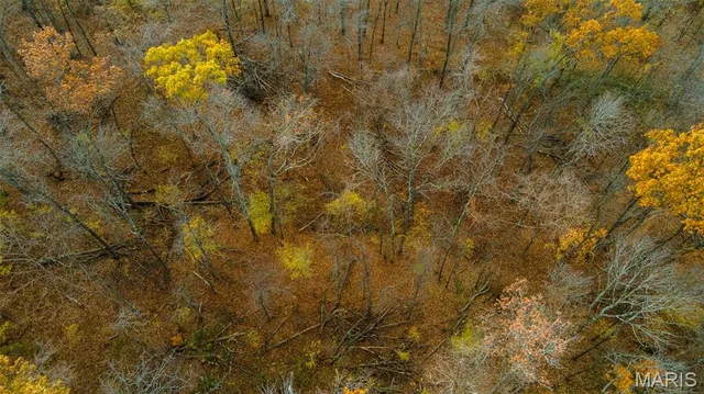 $704,900 | 0 County Road 259, Chaffee, MO 63740