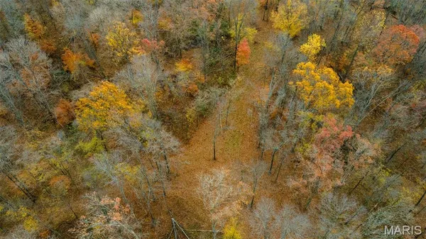 $704,900 | 0 County Road 259, Chaffee, MO 63740