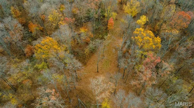 $704,900 | 0 County Road 259, Chaffee, MO 63740